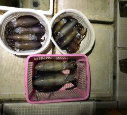 さぶろう丸 釣果