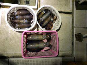 さぶろう丸 釣果