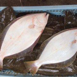 Sea Frend 片山丸 釣果