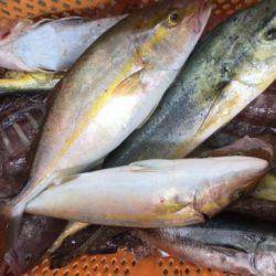 Sea Frend 片山丸 釣果