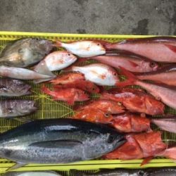 Sea Frend 片山丸 釣果