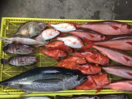 Sea Frend 片山丸 釣果