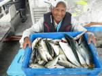 山本丸 釣果
