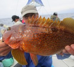兼六丸 釣果