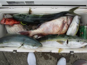 兼六丸 釣果