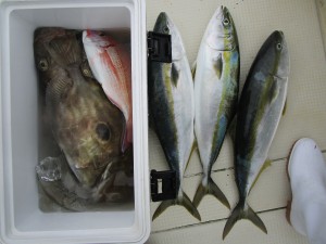 兼六丸 釣果