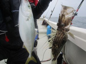 兼六丸 釣果
