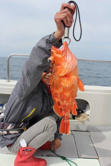 Aquanaut(アクアノート) 釣果