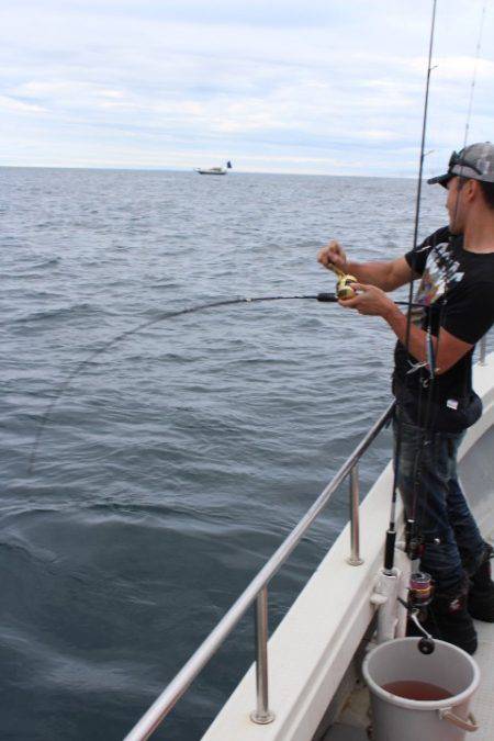 Aquanaut(アクアノート) 釣果