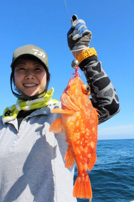 Aquanaut（アクアノート） 釣果