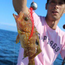 Aquanaut（アクアノート） 釣果