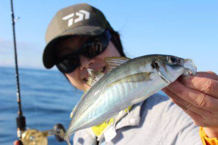 Aquanaut（アクアノート） 釣果