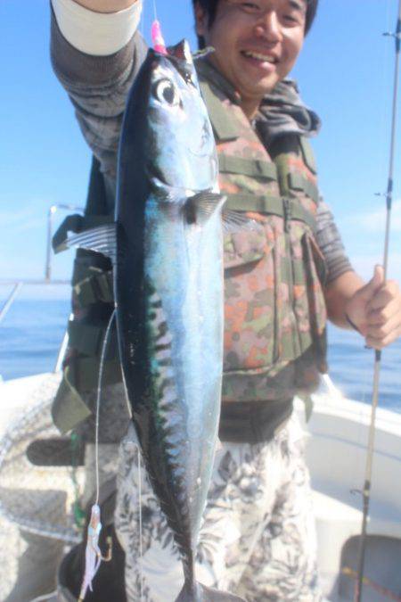 Aquanaut(アクアノート) 釣果