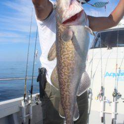 Aquanaut(アクアノート) 釣果