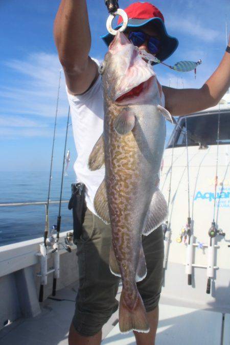 Aquanaut(アクアノート) 釣果