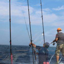 Aquanaut(アクアノート) 釣果