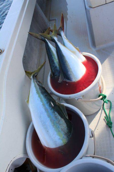 Aquanaut(アクアノート) 釣果