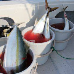 Aquanaut(アクアノート) 釣果