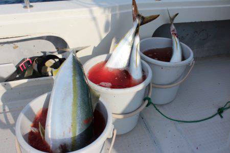 Aquanaut(アクアノート) 釣果