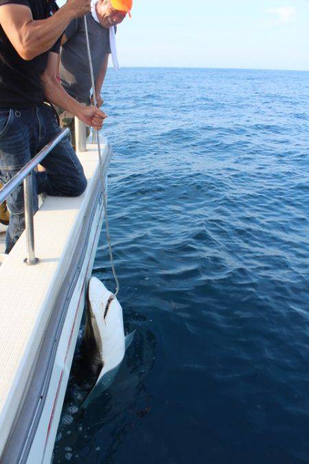 Aquanaut(アクアノート) 釣果