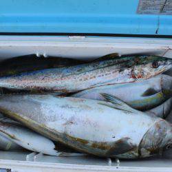 Aquanaut(アクアノート) 釣果