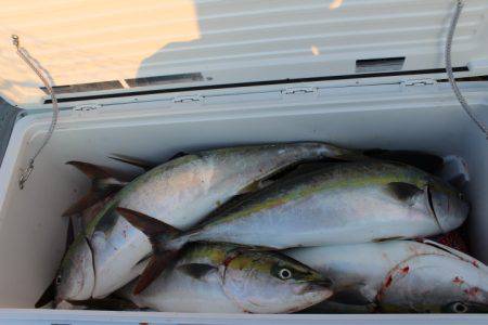 Aquanaut(アクアノート) 釣果