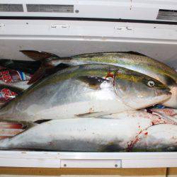 Aquanaut(アクアノート) 釣果