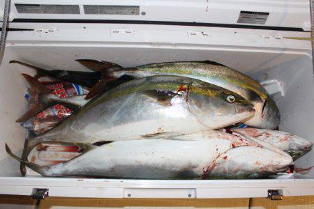 Aquanaut(アクアノート) 釣果