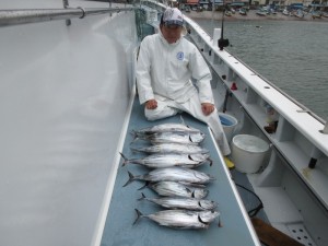 太郎丸 釣果