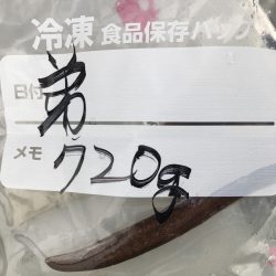 白墨丸 釣果
