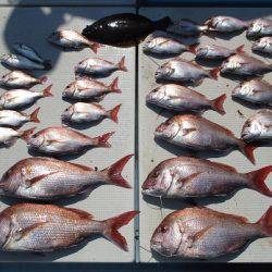 海人丸（うみんちゅまる） 釣果