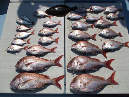 海人丸（うみんちゅまる） 釣果