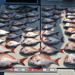 海人丸（うみんちゅまる） 釣果