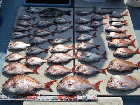 海人丸（うみんちゅまる） 釣果