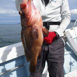 海人丸（うみんちゅまる） 釣果