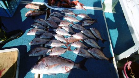 十八宝洋丸 釣果