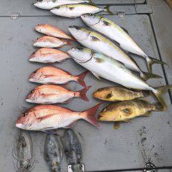 BlueOcean（ブルーオーシャン） 釣果