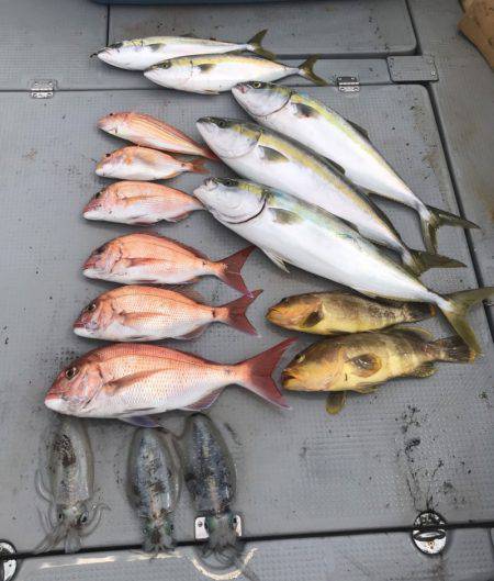 BlueOcean（ブルーオーシャン） 釣…