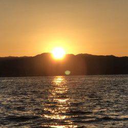 BlueOcean（ブルーオーシャン） 釣果