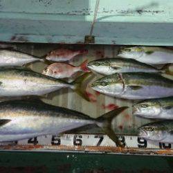 火遠理丸（ほおりまる） 釣果