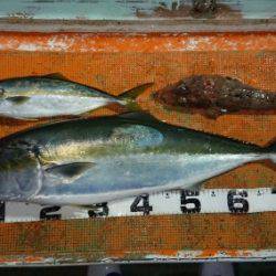 火遠理丸（ほおりまる） 釣果