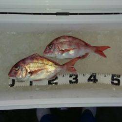 火遠理丸（ほおりまる） 釣果