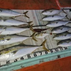 火遠理丸（ほおりまる） 釣果