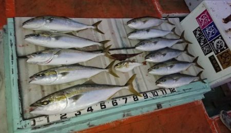 火遠理丸（ほおりまる） 釣果