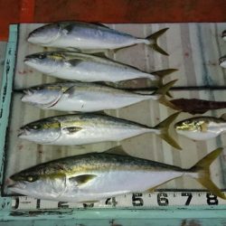 火遠理丸（ほおりまる） 釣果