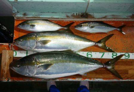 火遠理丸（ほおりまる） 釣果