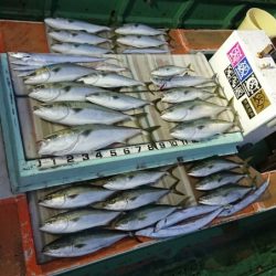 火遠理丸（ほおりまる） 釣果