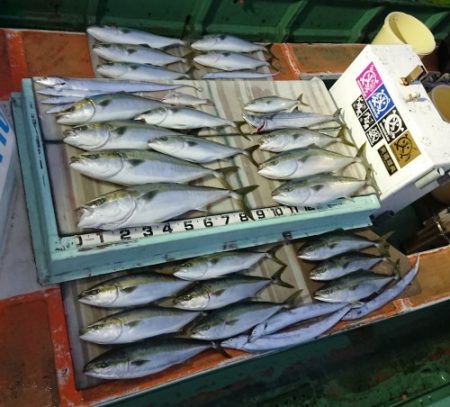 火遠理丸（ほおりまる） 釣果