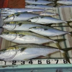 火遠理丸（ほおりまる） 釣果