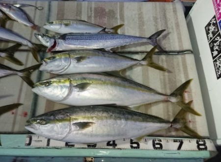 火遠理丸（ほおりまる） 釣果